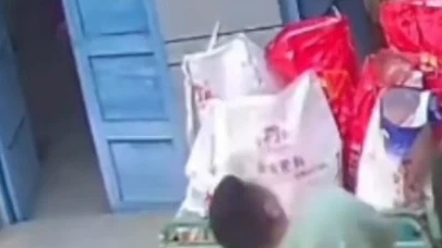 吊车吊小麦时坠落 父亲迅速护住孩子