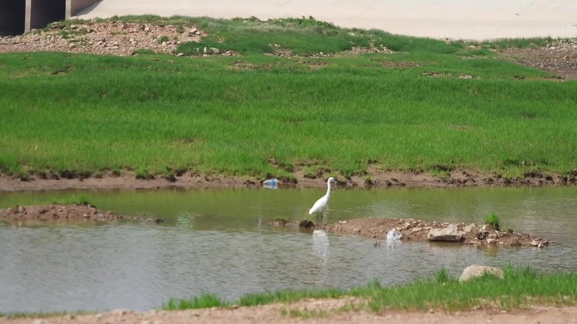 中国最大淡水湖鄱阳湖水位骤降