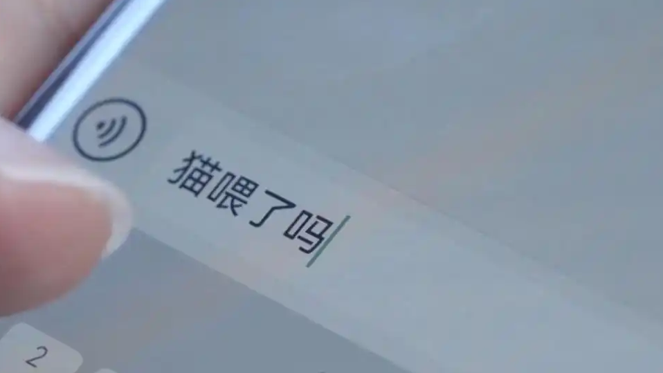 王星失联前向女友求救发猫喂了没
