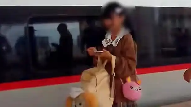 16岁女孩独自乘高铁见网友被拦