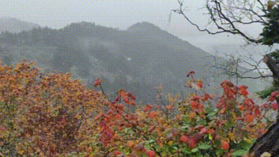 成都这里今天下雪啦