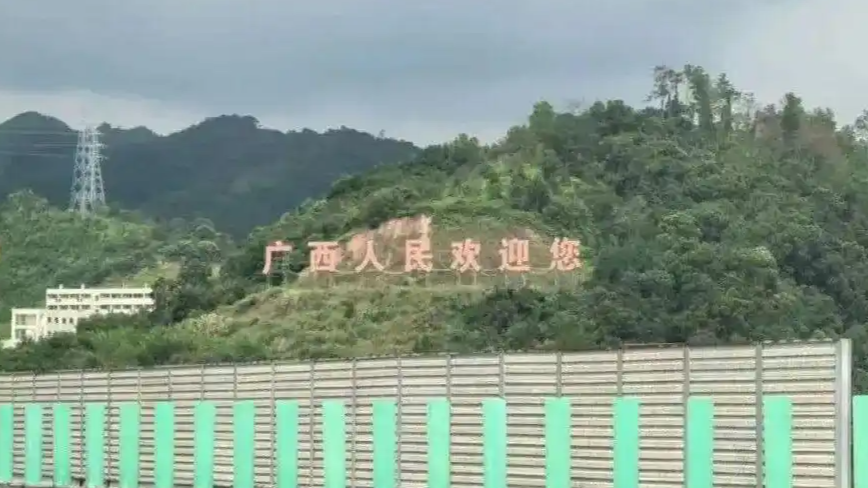 网友：树枝挡到拍照了 广西：马上处理