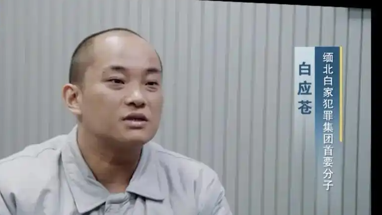 白应苍临刑前称随口1个资金盘就20亿
