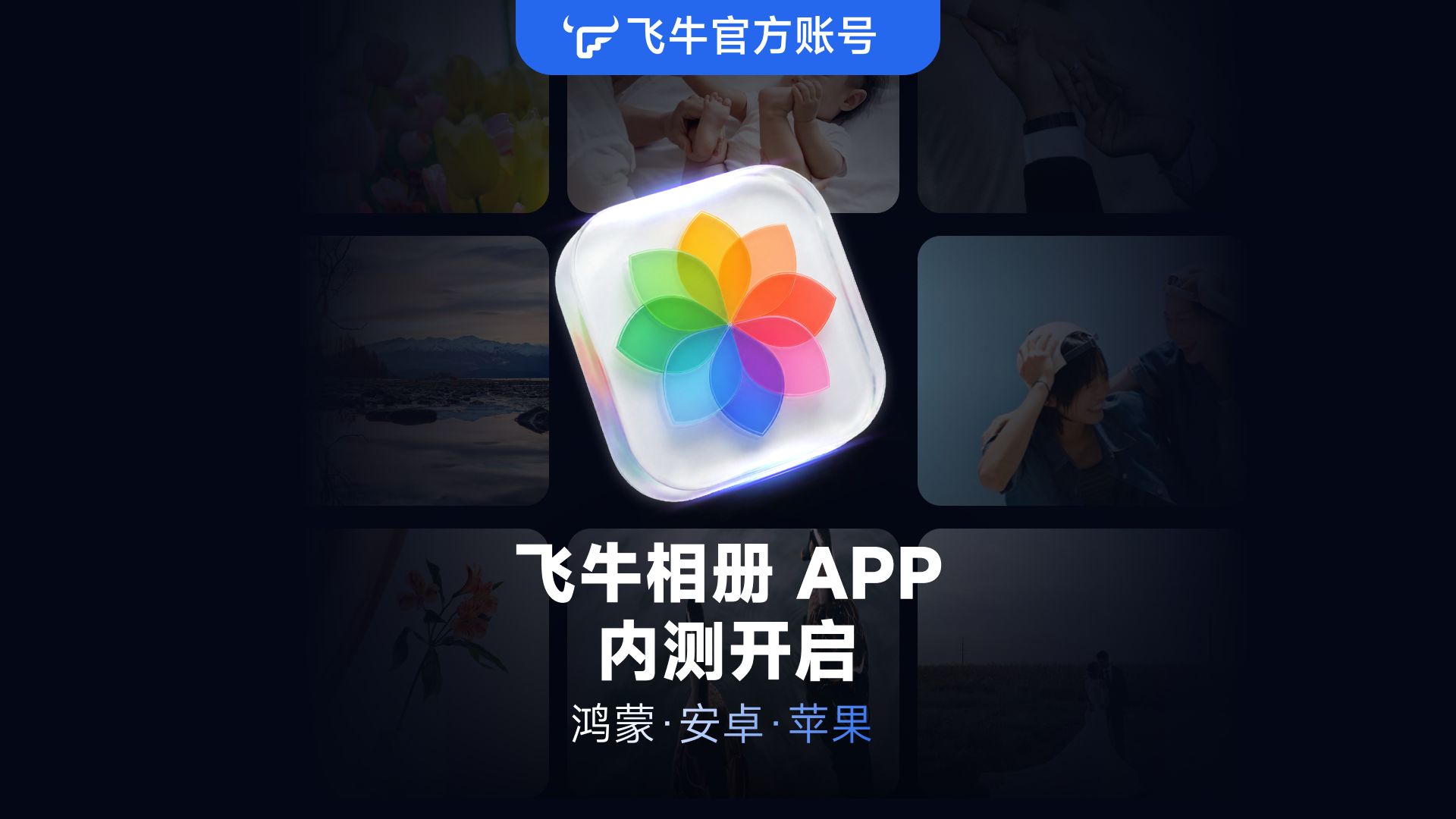 飞牛相册独立 App 开启内测招募