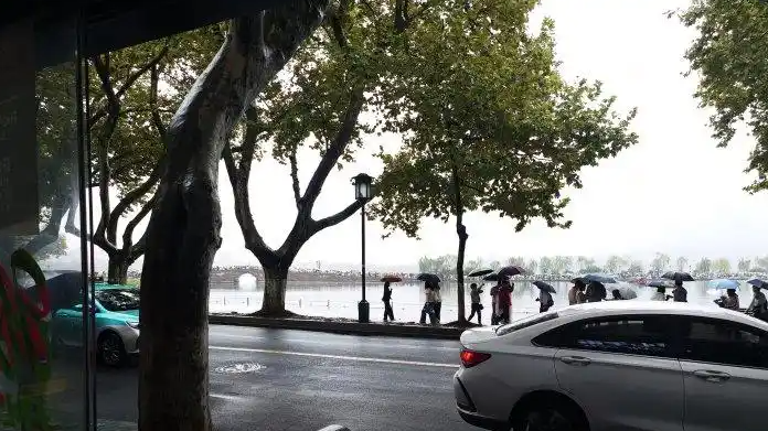 杭州“现实版桃花源记”火了