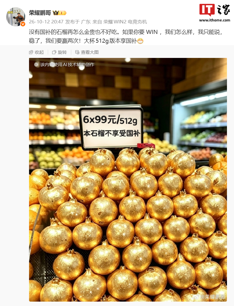 荣耀电商部部长称没有国补的石榴再怎么金贵也不好吃，透露 WIN 2 系列手机“大杯”512GB 版可享