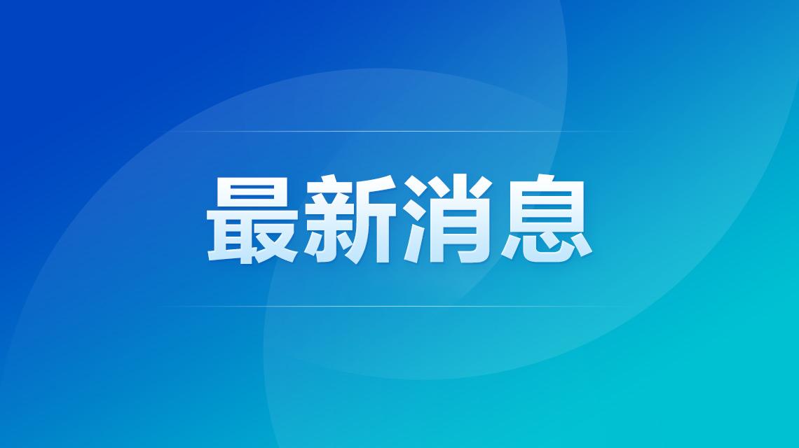 沙特利雅得机场遭袭 致12死309伤