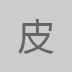 皮皮版本库